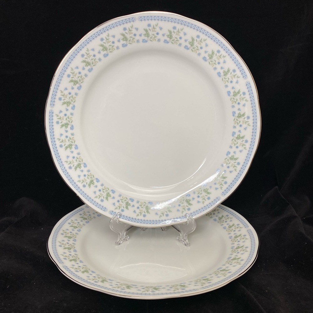 GUC Lot of 2 Vintage 10” China Blue & Green Bluebell Pattern Dinner Plates
